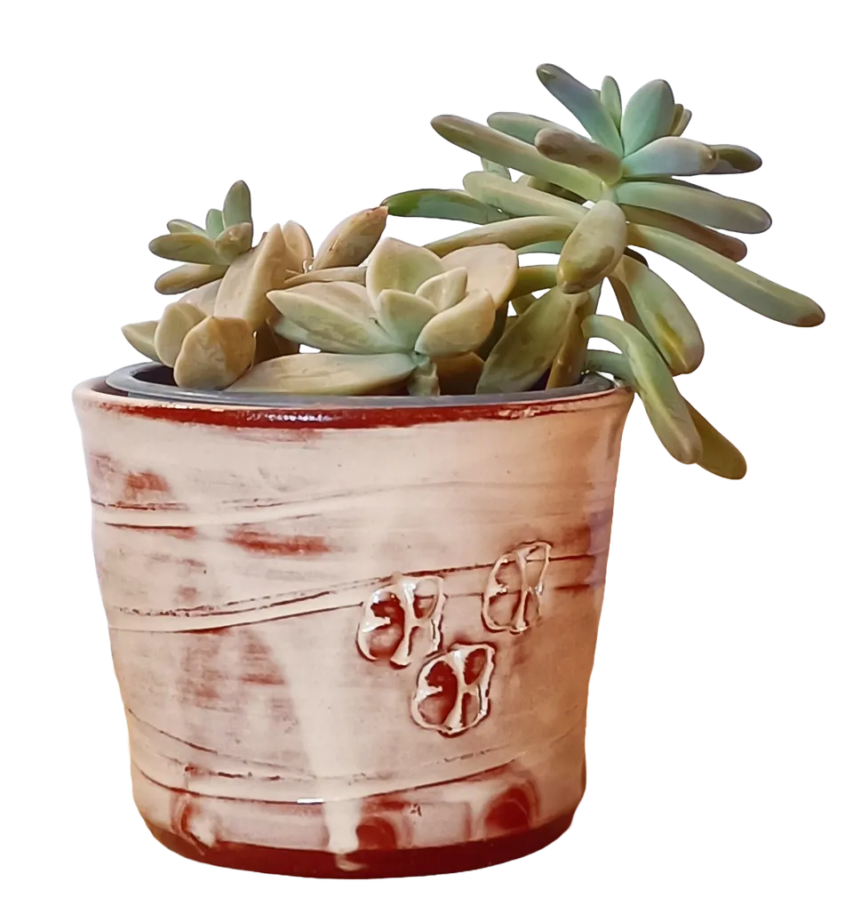 OrientéObjets Pieds Paquets cache-pot ceramica con succulenta