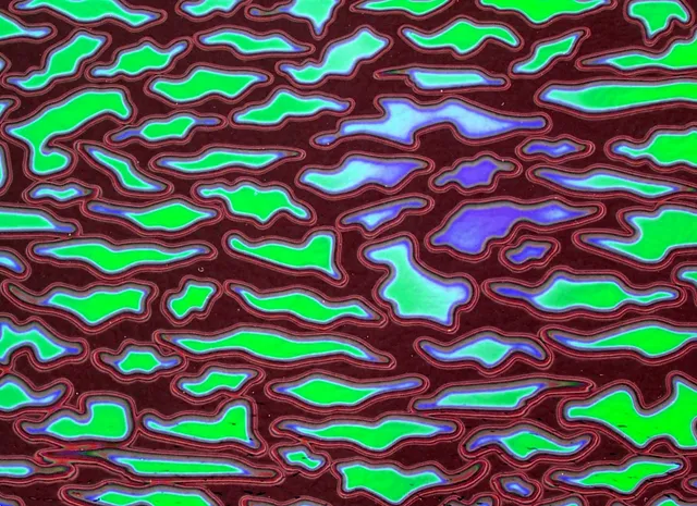 Cbs Dichroic Borderline Animal Emerald vetro fusione quarto