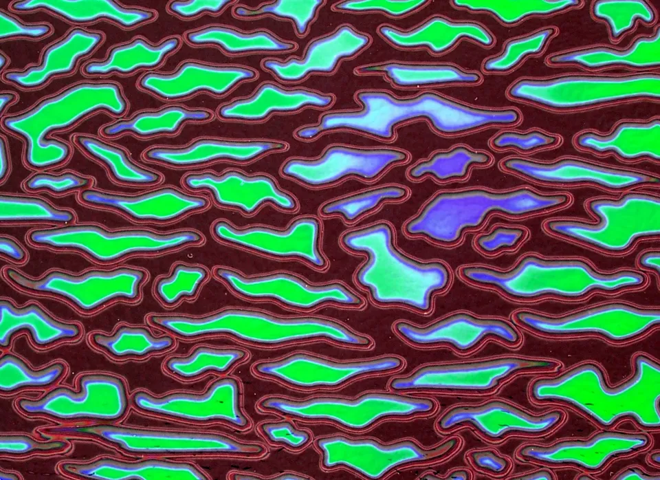 Cbs Dichroic Borderline Animal Emerald vetro fusione quarto