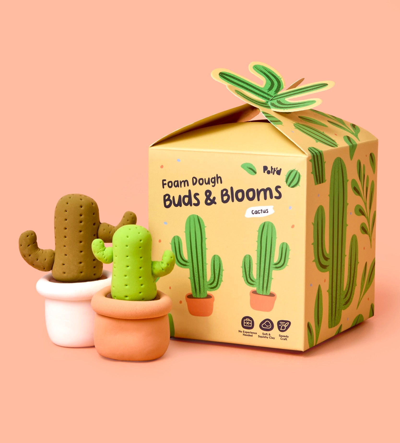 Pott'd Projects Cactus kit ceramica fiori fai da te cactus