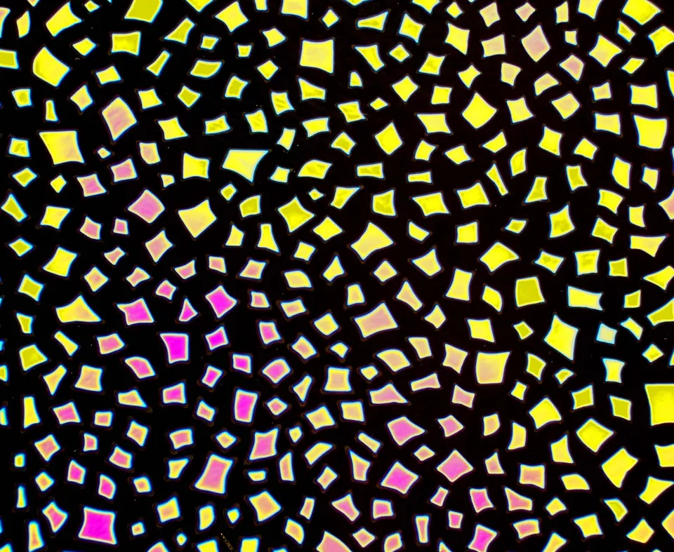 Cbs Borderline Confetti Green Magenta vetro dicroico Aurora Borealis