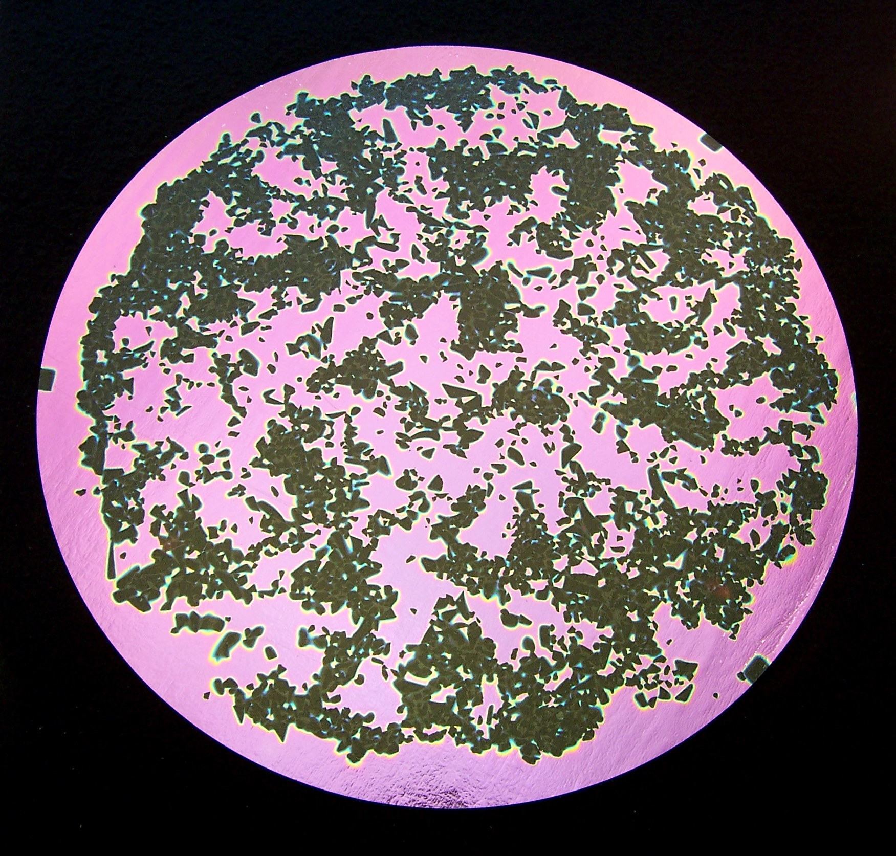 CBS Splatter Green Pink vetro dicroico motivo schizzi