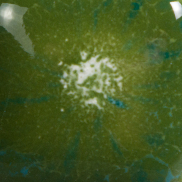 Mayco Jungle Gems Spotted Kiwi smalto ceramico verde
