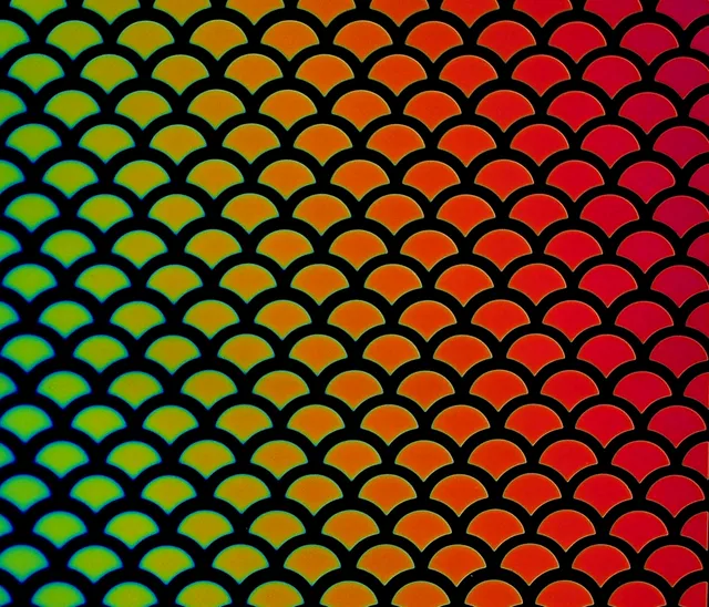 Cbs Dichroic Borderline Scale Rainbow #2 vetro dicroico quarter