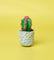 Pott'd Projects Giardino Succulente kit argilla fai da te piante
