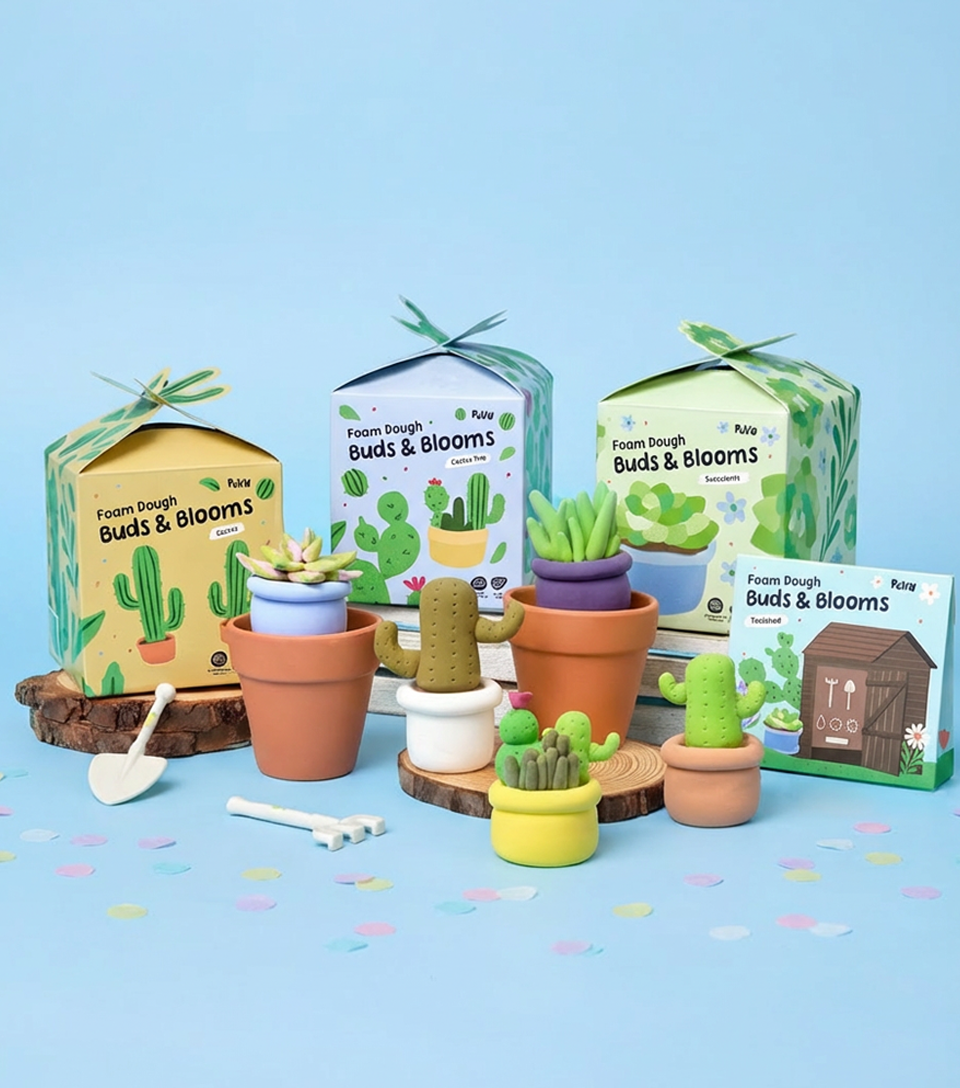 Pott'd Bundles Set Piante da Interno kit argilla piante grasse