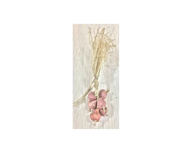Ditta Montanini Cestini MC6 cipolle presepe H 4 cm
