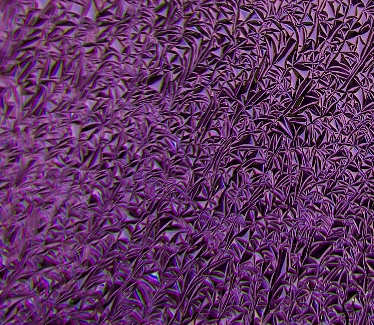 Cbs Crinklized Yellow Purple vetro dicroico tondo 19