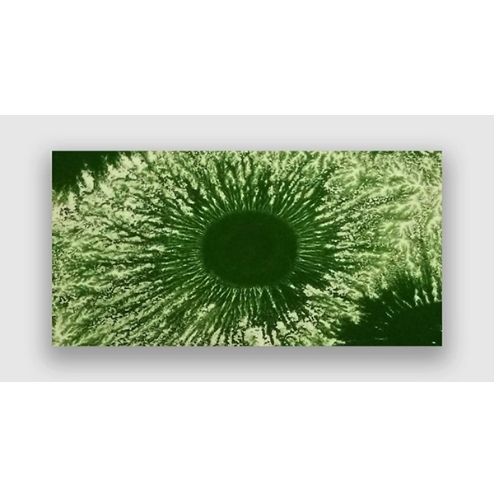CERCO Mocha Paints MCH 303 smalto ceramico verde Mocha Green