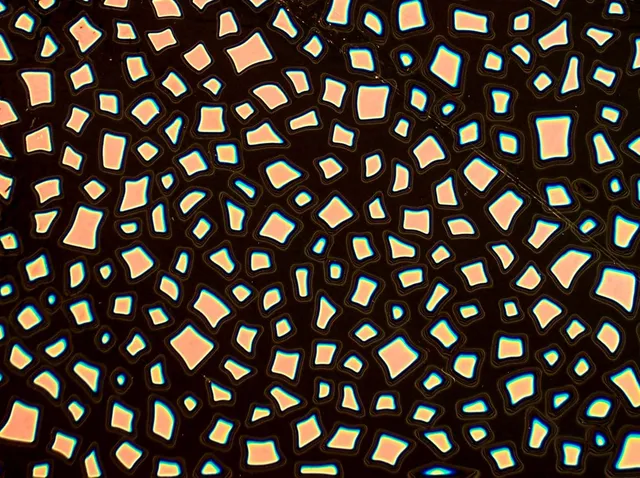 Cbs Borderline Quarter Sheets vetro Confetti Salmon quarto