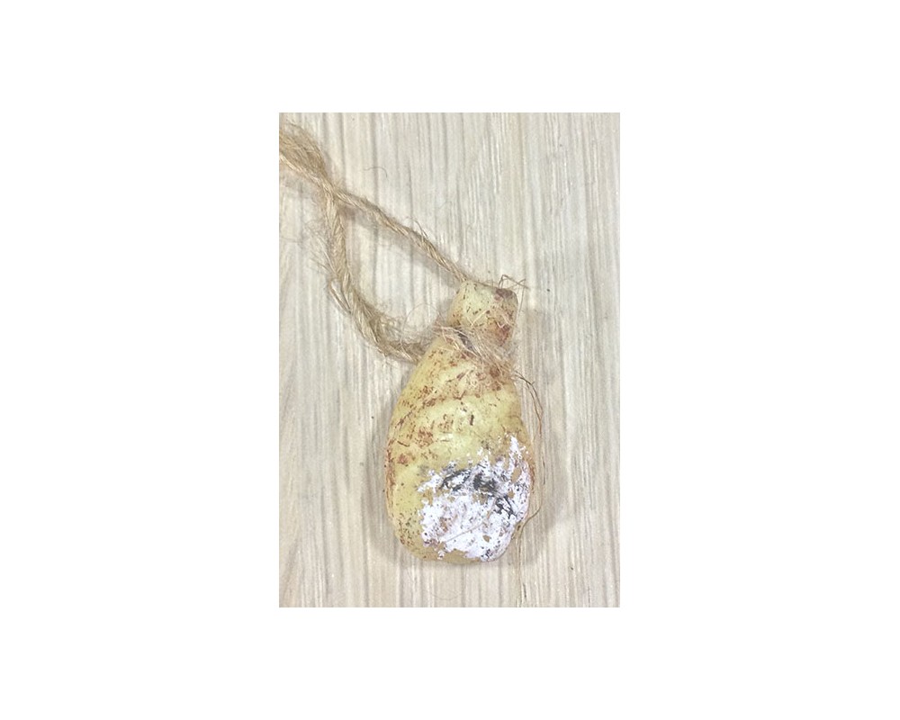 Cestini Cera MC10 Prosciutto H-3 Accessorio Presepe