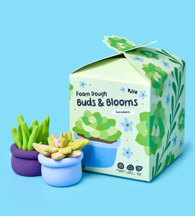 Pott'd Buds & Blooms Succulentes kit succulente in argilla mini