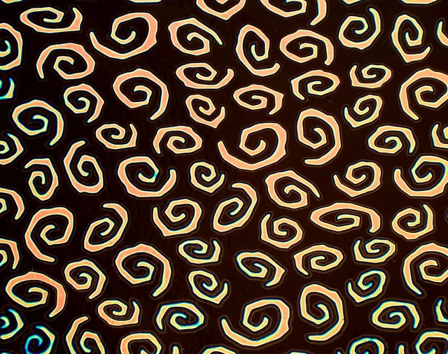 Cbs Borderline Quarter Sheets vetro Spirals Salmon quarto