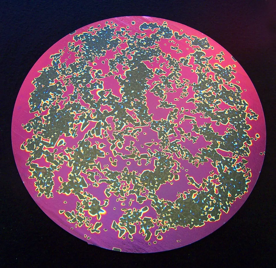 CBS Dichroic Splatter Black Cherry vetro dicroico nero