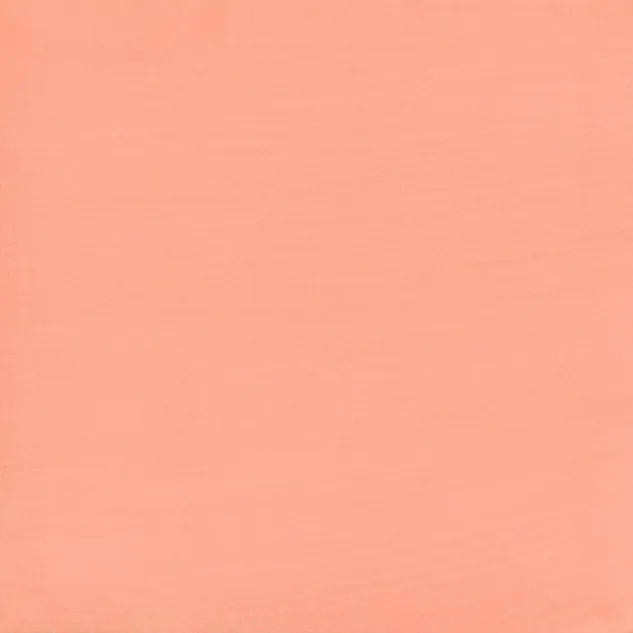 Mayco Bisq-Stain Rich Peach smalto ceramica pesca senza forno