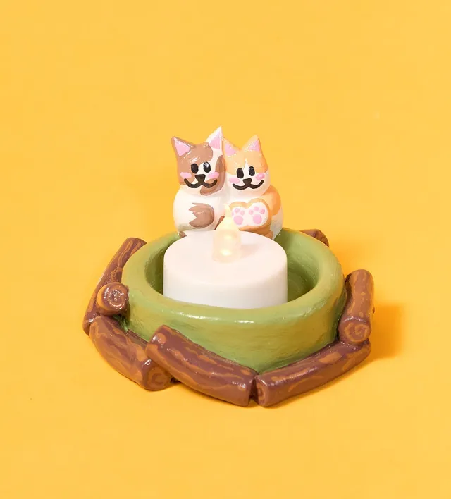 Pott'd Projects Chatons Falò Kit Argilla Gattini
