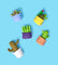 Pott'd Bundles Set Piante da Interno kit argilla piante grasse