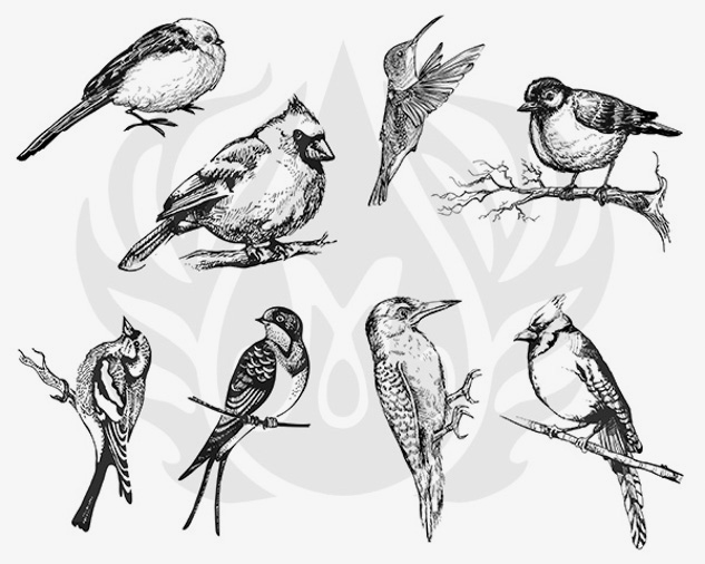 Mayco Designer Silkscreen Aviary serigrafia uccellini