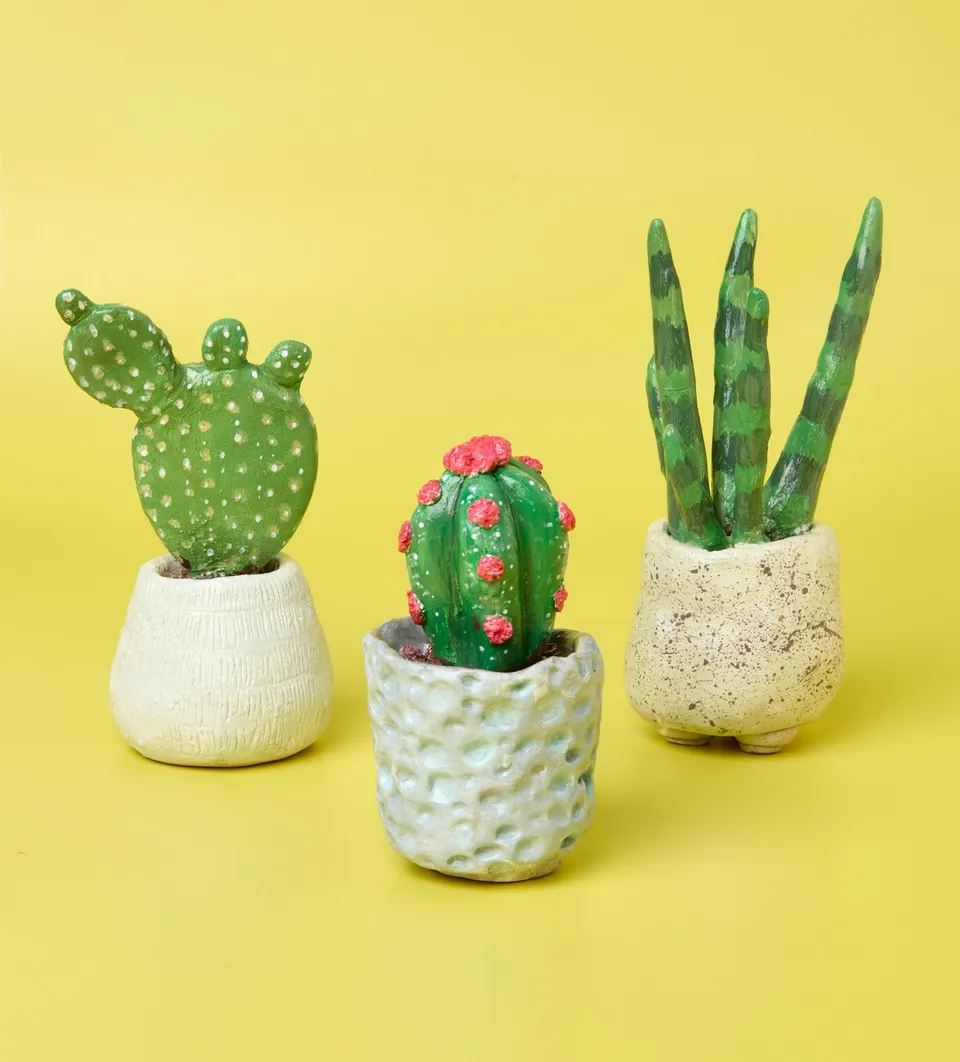 Pott'd Projects Succulent Sculptures kit argilla Garden Trio