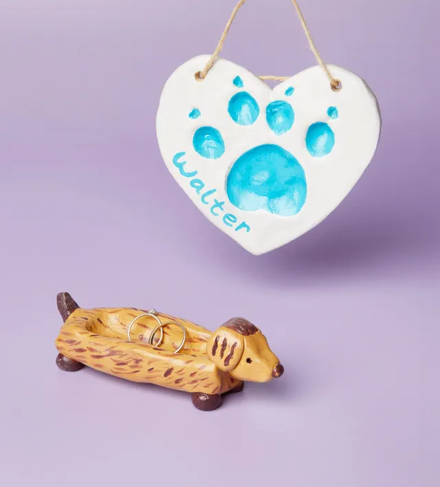 Pott'd Home Pottery Pet Lovers kit ceramica animali