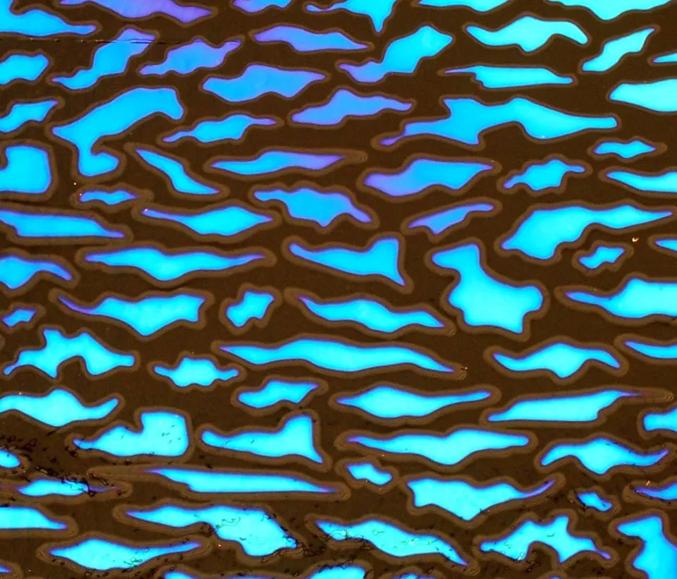 CBS Dichroic Borderline Animal vetro dicroico rosso blu quarto foglio