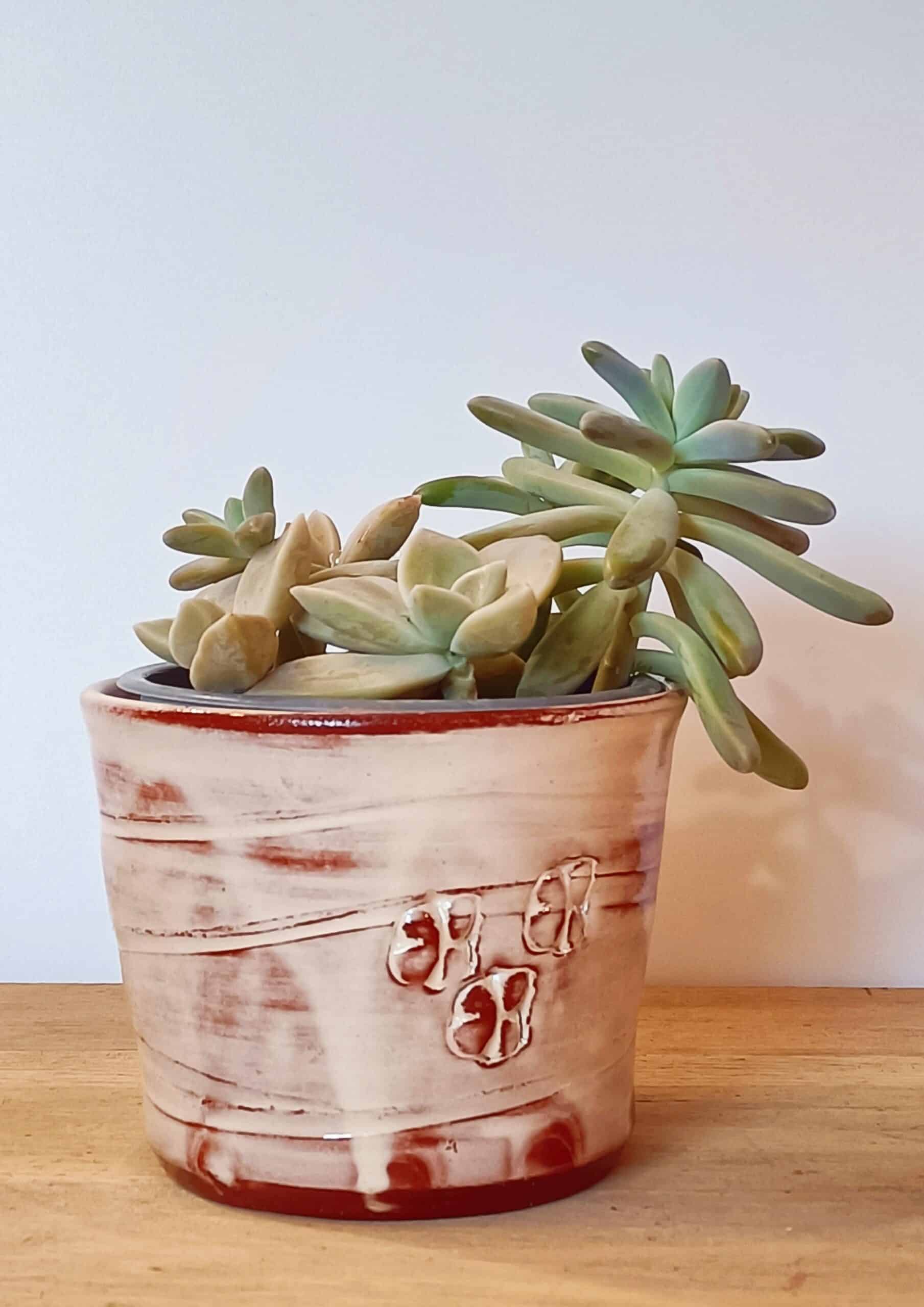OrientéObjets Pieds Paquets cache-pot ceramica con succulenta