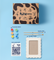 Pott'd Refills Cornici da Dipingere kit ceramica fai da te