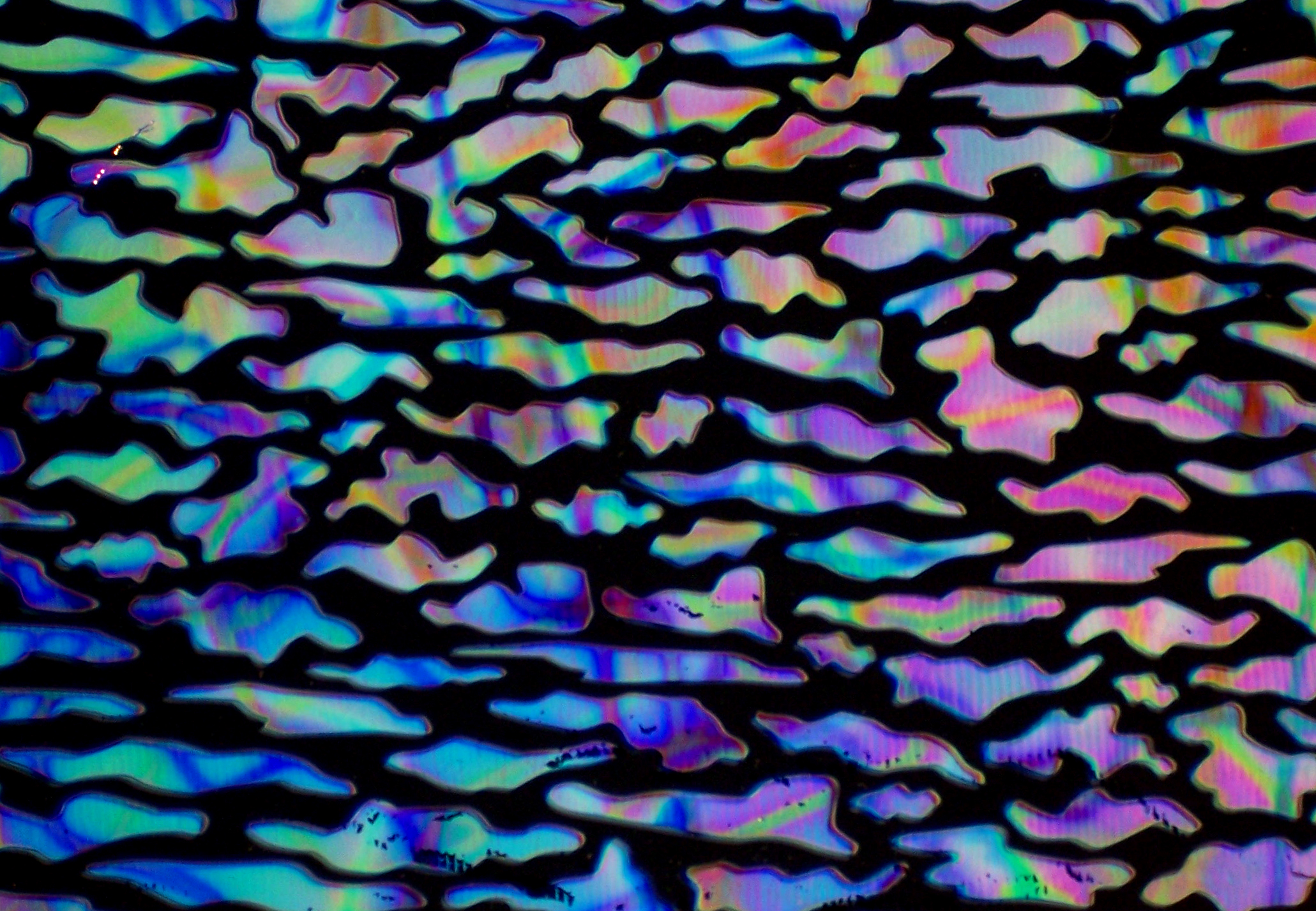 Cbs Dichroic Borderline Animal Mixture vetro fusione quarto foglio