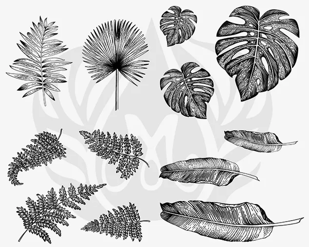 Mayco Silkscreens stencil ceramica Tropical Leaves foglie