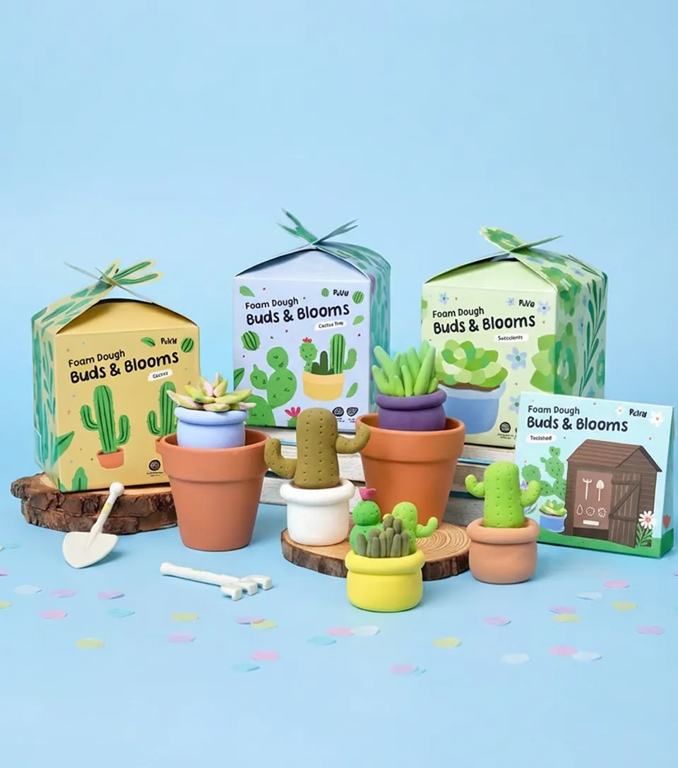Pott'd Bundles Set Piante da Interno kit argilla piante grasse