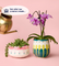 Pott'd Painting Kits Blumentopf-Set Bemalen x2 kit vasi