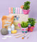 Pott'd Projects Piantine Bijoux kit fai da te vasetti