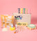 Pott'd Projects Ted Tartaruga kit fai da te luminosa