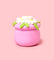 Pott'd Projects Margherita kit ceramica fai da te fiori