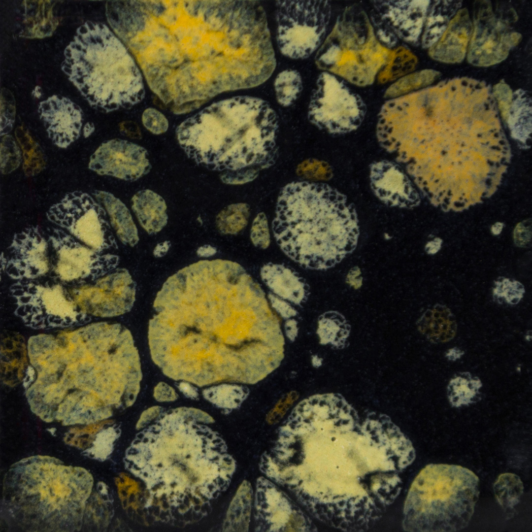 Mayco Jungle Gems Black Iris smalto ceramica effetto cristalli