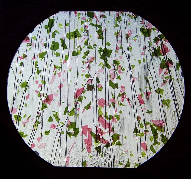Cbs Dichroic Fracture 4114 Silver vetro fusione 90 COE verde rosa