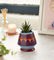 Pott'd Extras Colori per Ceramica set pittura ceramica