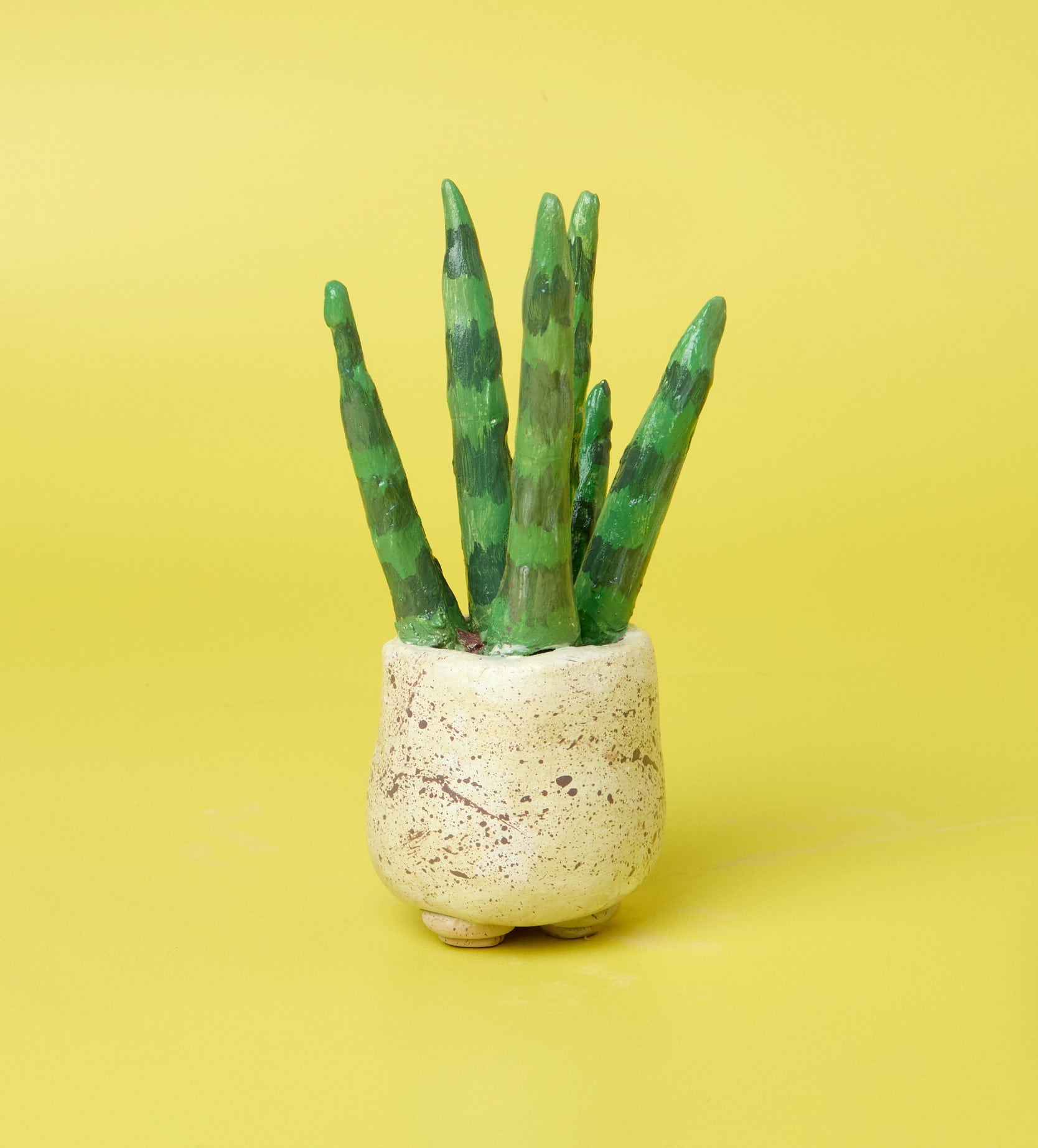 Pott'd Projects Succulent Sculptures kit argilla Garden Trio
