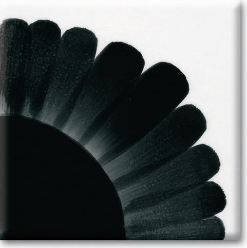 Cerama Sottocristalline Black colore nero per biscotto