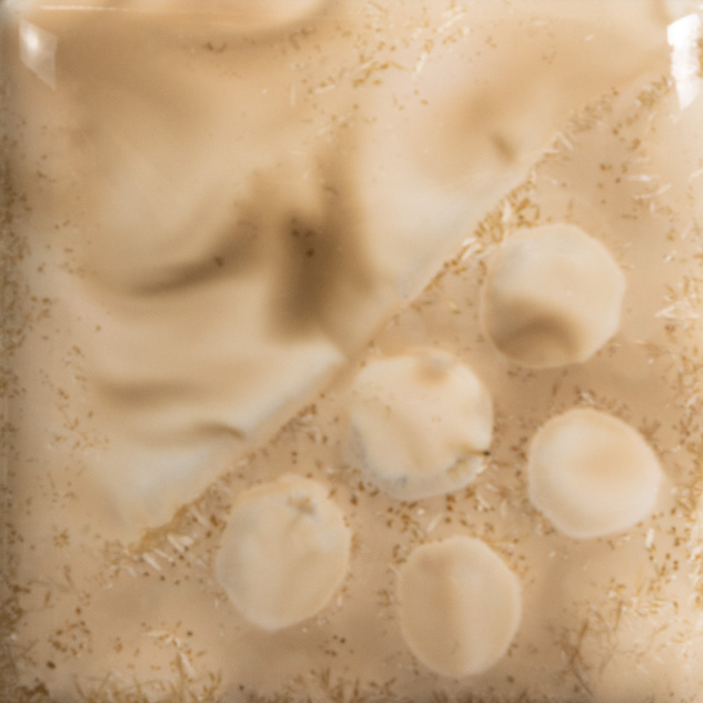 Mayco Elements Spotted Walnut smalto ceramico beige maculato