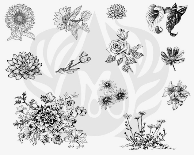 Mayco Silkscreens Designer Flowers 2 serigrafia fiori ceramica
