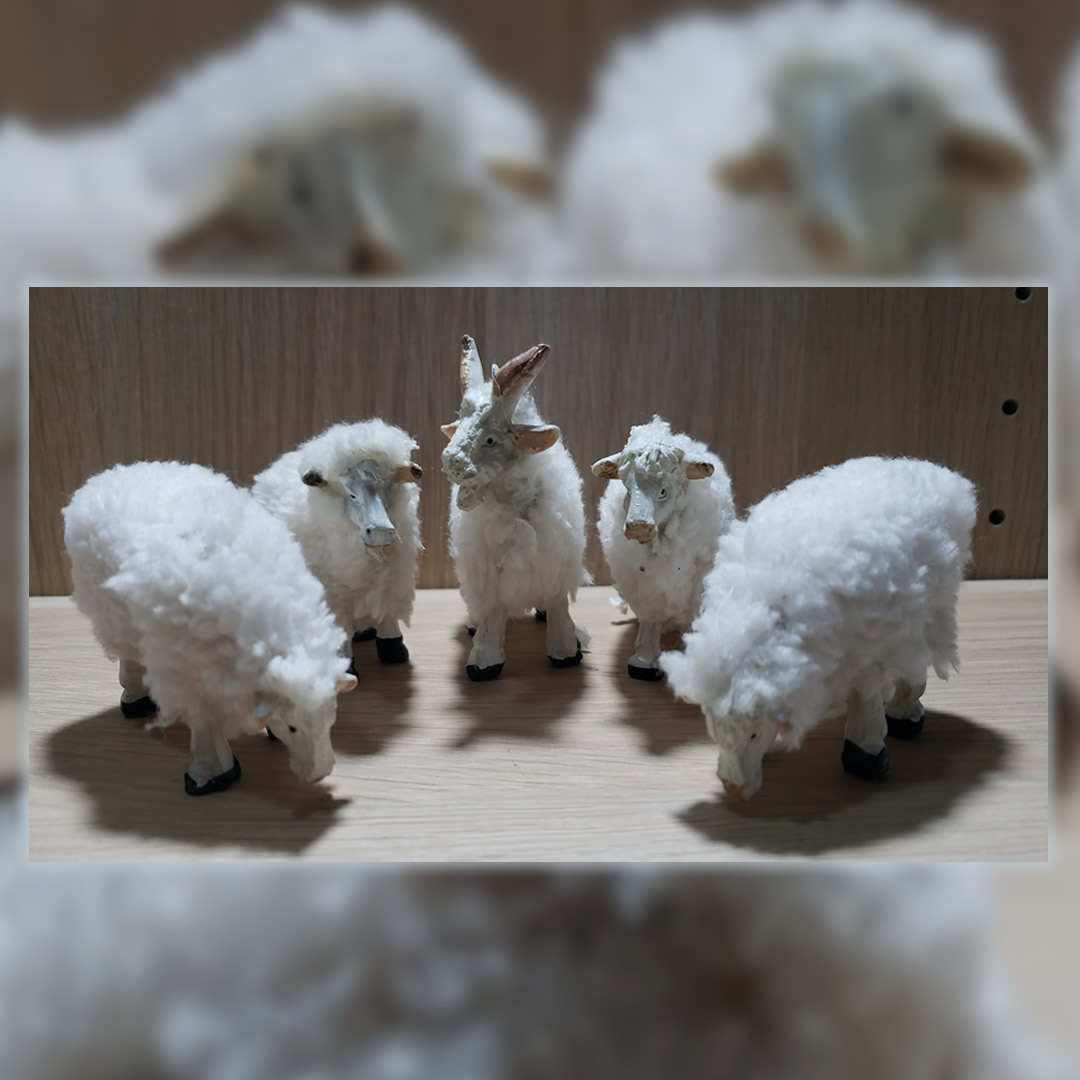 Pastori Landi pecore con lana confezione da 5 presepe