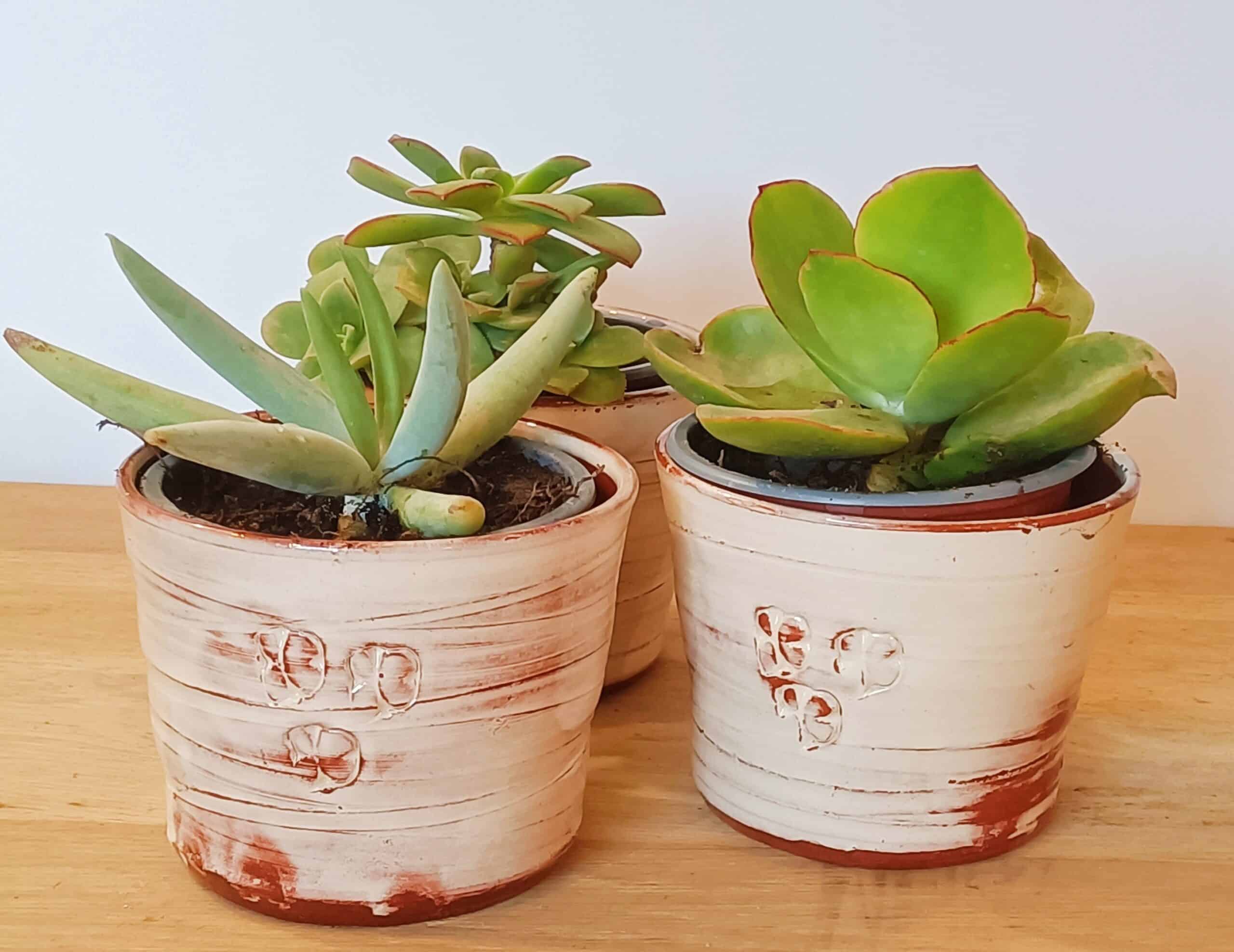 OrientéObjets Pieds Paquets cache-pot ceramica con succulenta