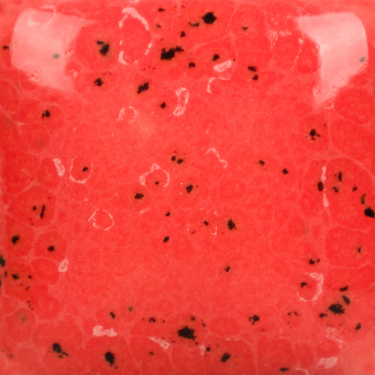 Mayco Speckled Stroke & Coat Cutie Pie Coral smalto corallo