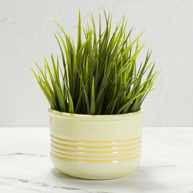 Mayco Earthenware Bisque Textured Planter vaso biscotto 3 decori
