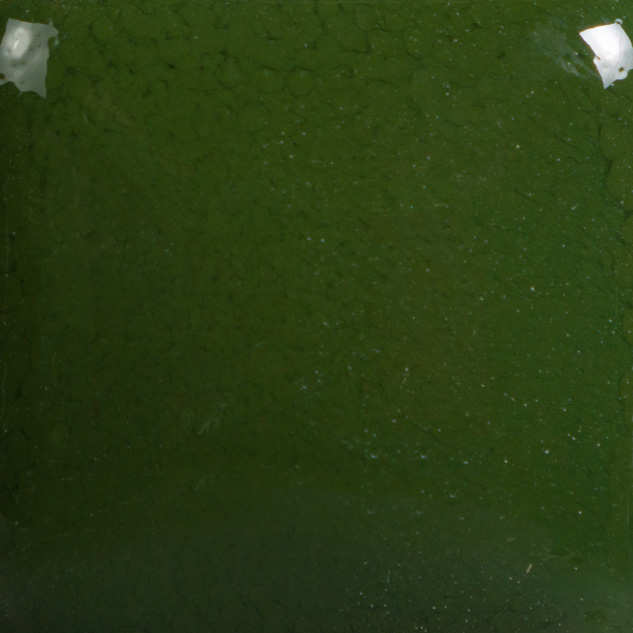 Mayco Stoneware Tree Green smalto ceramico verde