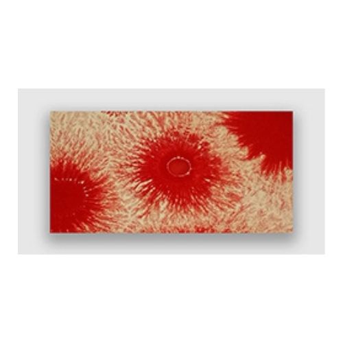 CERCO Mocha Paints MCH 753 colore ceramica Mocha Red
