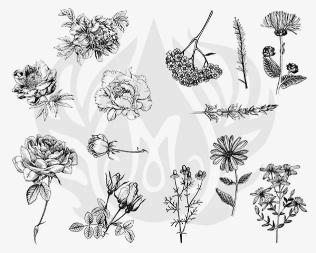 Mayco Silkscreens Designer Flowers serigrafia fiori