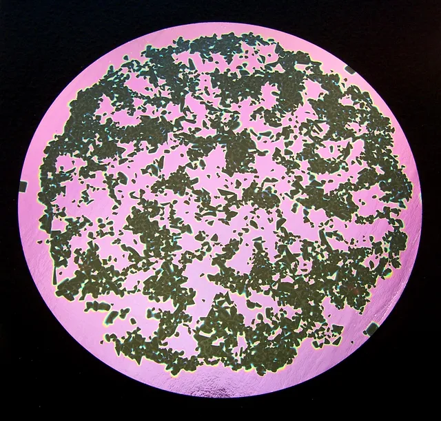 CBS Splatter Green Pink vetro dicroico motivo schizzi