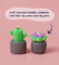 Pott'd Home Pottery Kits kit candela cactus argilla